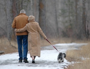 old-couple-walking-dog_thumbnail1